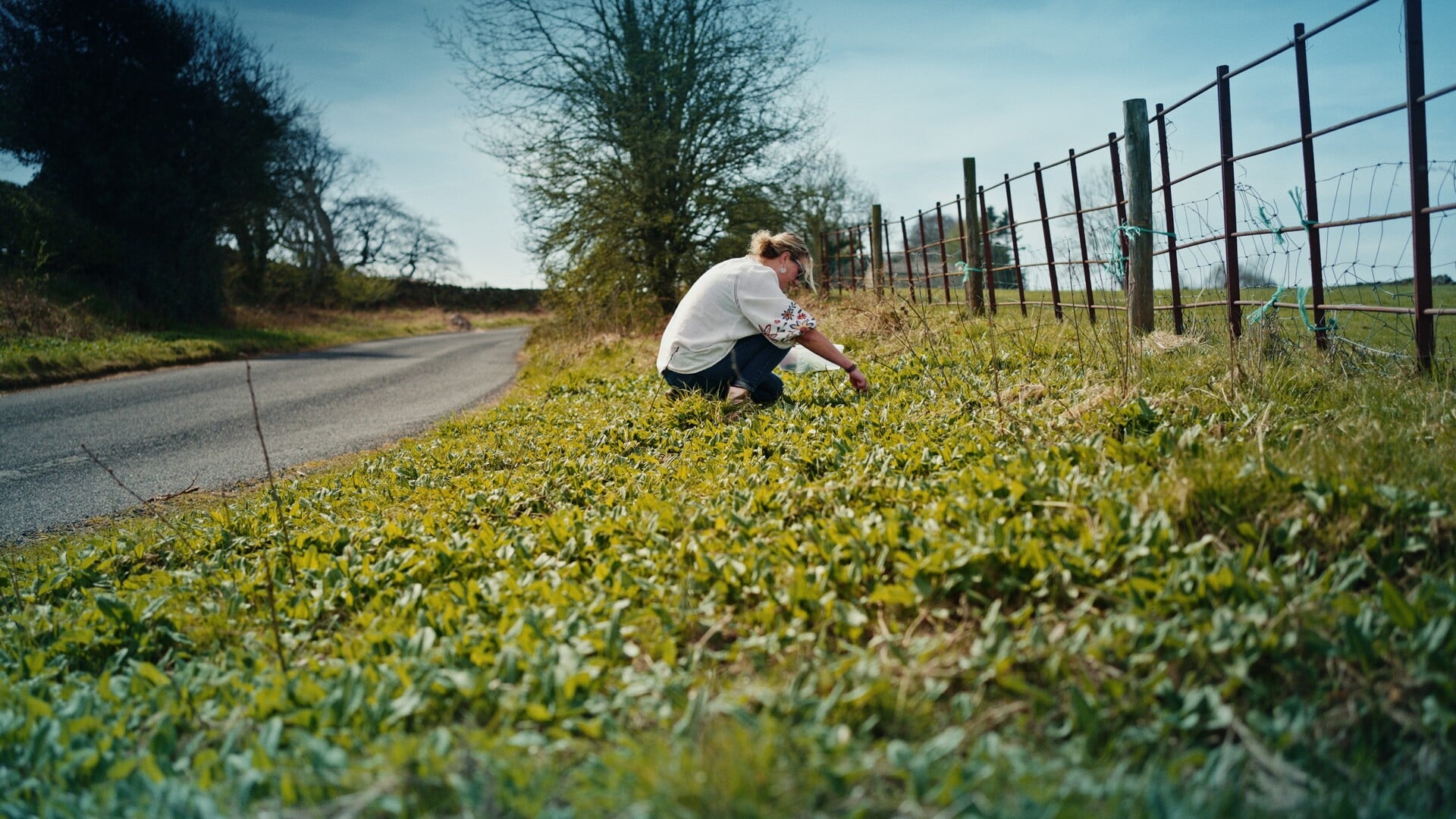 Photo 6 DP_JO_PICKING.jpg